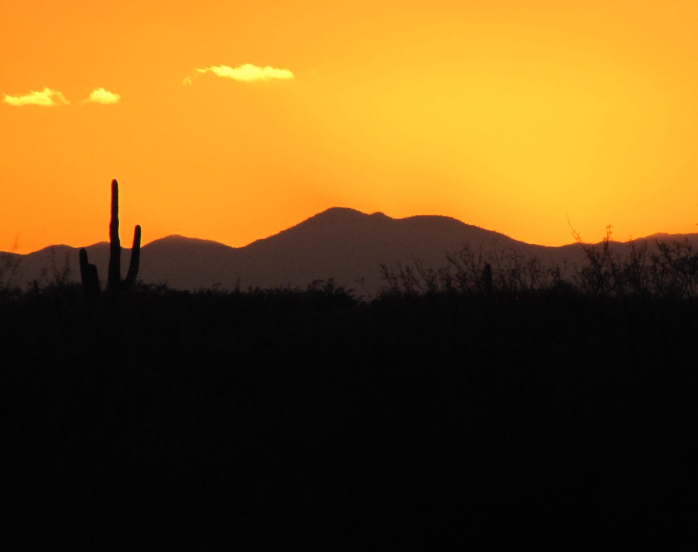 Sunset picture from Dad's yard in Tucson