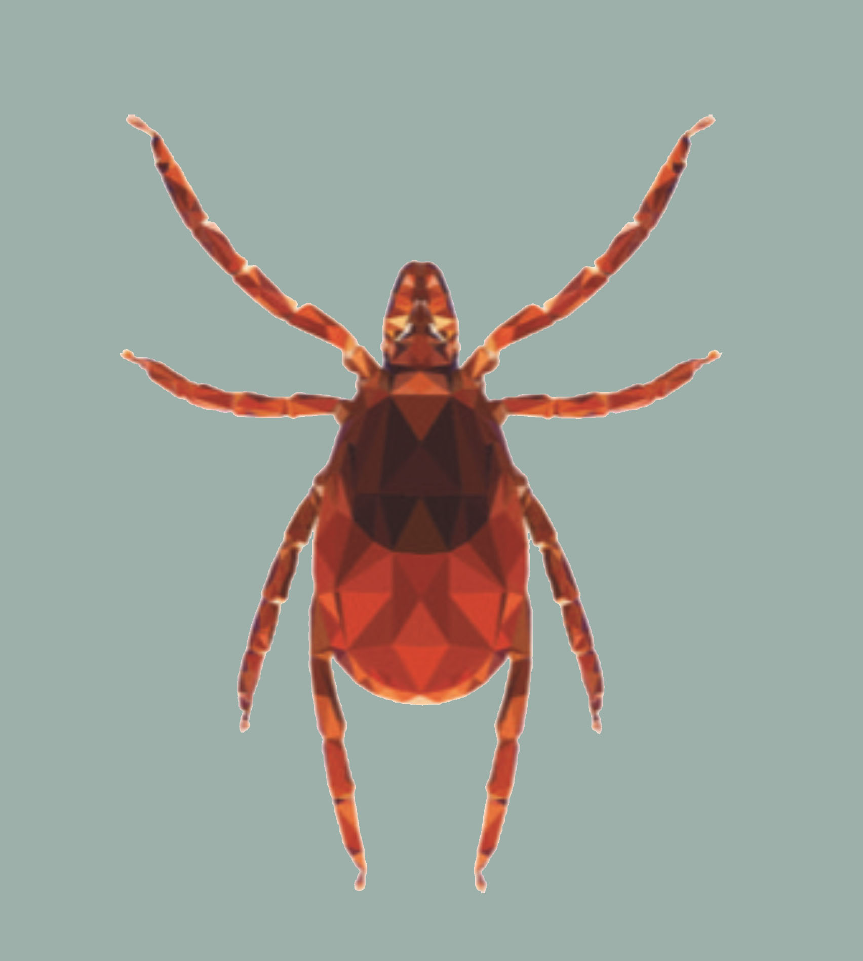 Stylized tick representing Lyme disease